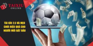 Tài Xỉu 2.5 Và Mẹo Chơi Hiệu Quả Cho Người Chơi Mới Bắt Đầu